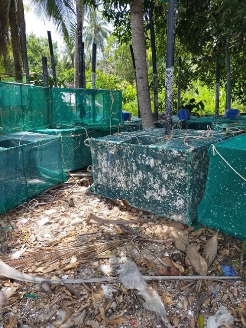 Hàng chục chiếc lồng nuôi tôm hùm xếp ngổn ngang ở góc vườn. Hàng chục chiếc lồng nuôi tôm hùm xếp ngổn ngang ở góc vườn.