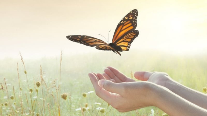 Muốn có cuộc sống viên mãn như ý, bạn nhất định phải dút khoát từ bỏ 4 điều này