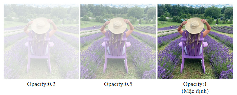 Thuộc tính Opacity/Transparency trong CSS