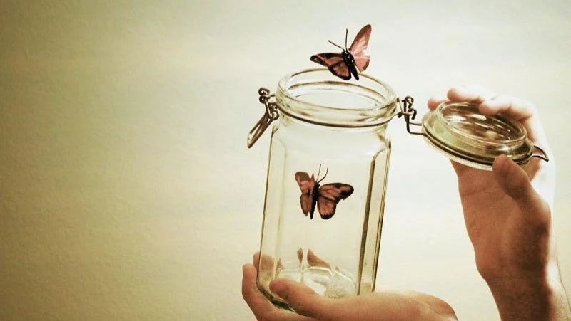 Càng toan tính, tiền bạc càng tránh xa bạn: Cứ làm tốt 3 điều này để tài lộc càng về