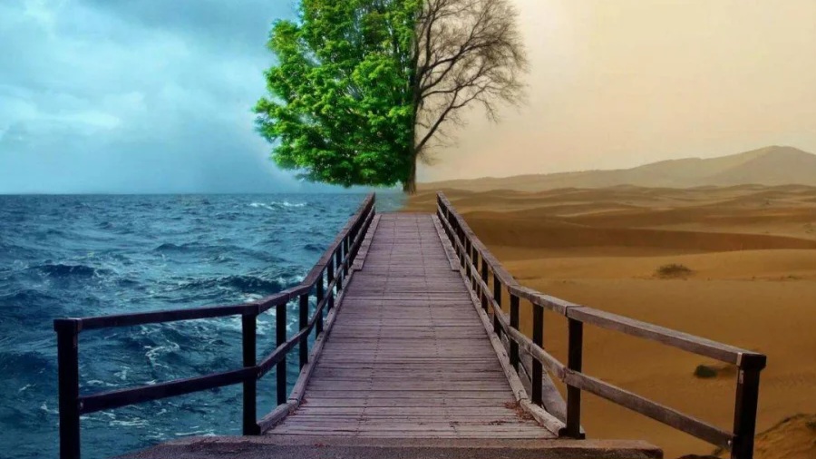 Muốn biết lòng người rộng hay hẹp, cứ nhìn vào 2 điểm là rõ, thử xem sao