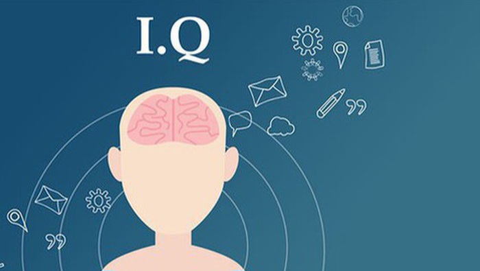 Việt Nam đứng thứ bao nhiêu trên bảng xếp hạng IQ cao nhất thế giới năm 2023?