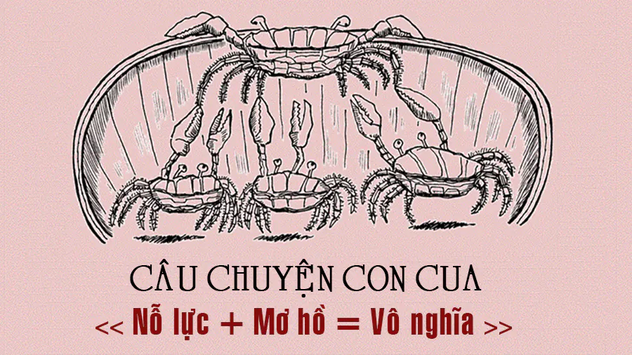 Câu chuyện con cua: “Nỗ lực + Mơ hồ = Vô nghĩa”