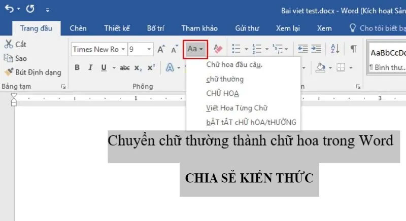 Các tùy chọn chuyển đổi định dạng kiểu chữ trong Word