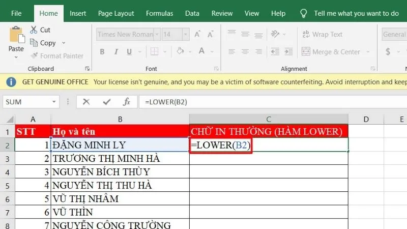 Nhập cú pháp =LOWER(B2)