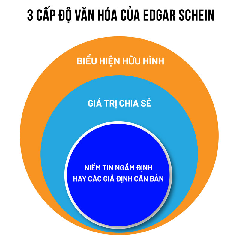 Mô hình văn hóa doanh nghiệp của Edgar Schein