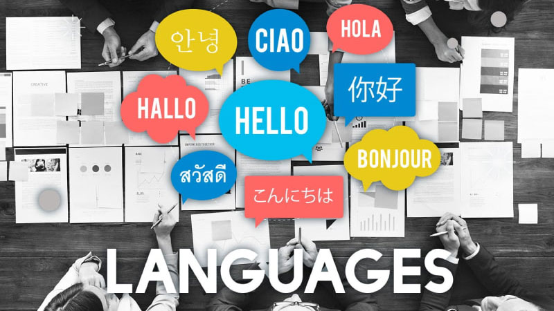 4 ngành ngôn ngữ dễ học, nhiều cơ hội việc làm với mức thu nhập đáng ngưỡng mộ