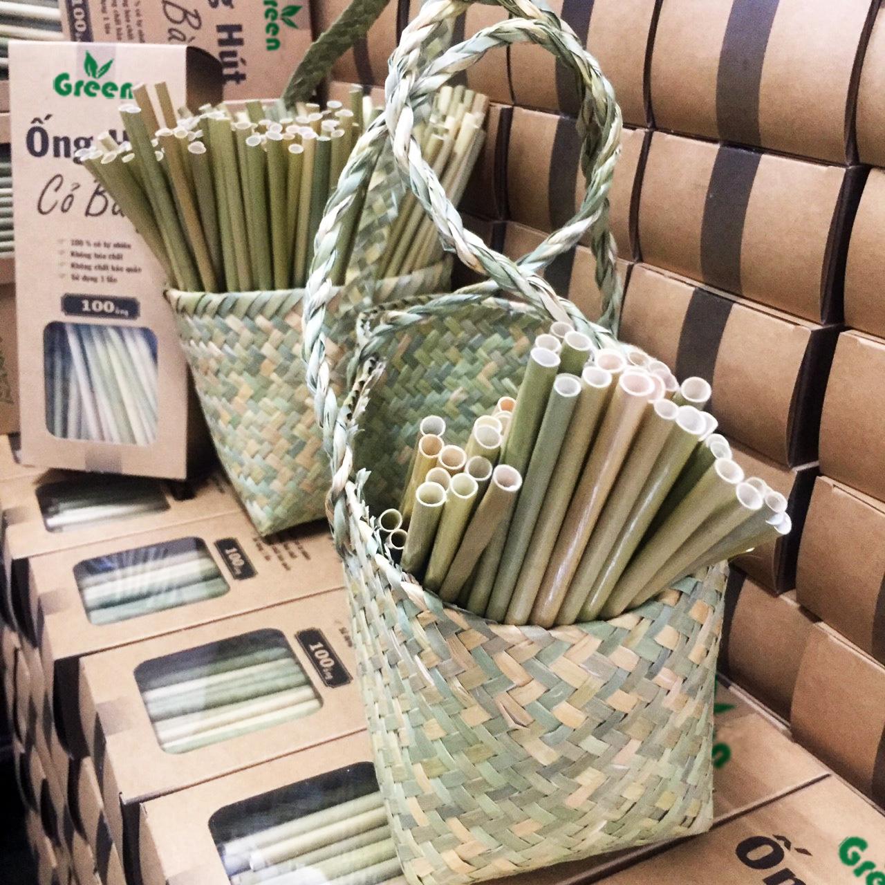 Những lợi ích mà Ống hút Cỏ Bàng mang lại cho môi trường Những lợi ích mà Ống hút Cỏ Bàng mang lại cho môi trường