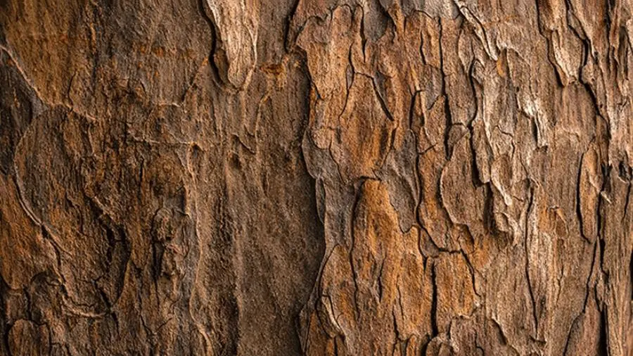 Thủ thuật sử dụng Textures hiệu quả trong thiết kế