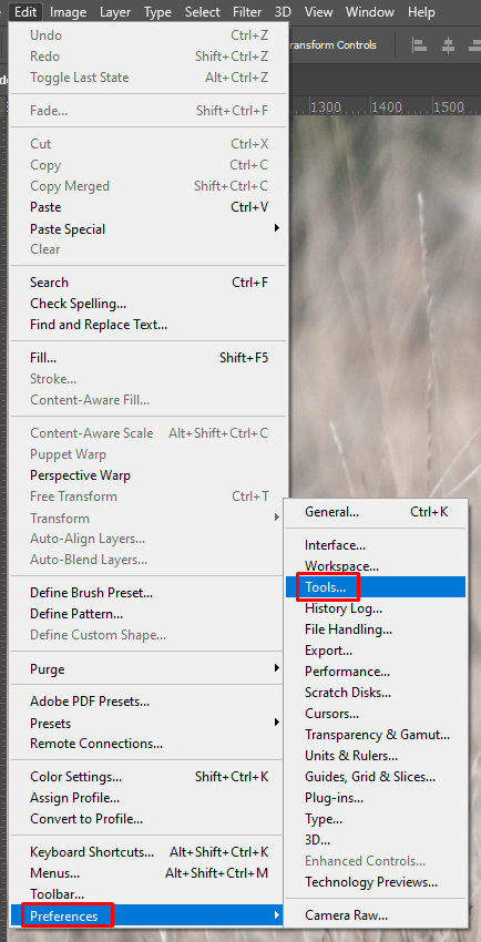 Cách kích hoạt Công cụ Zoom Tool - Bước 2