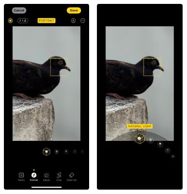 Ánh sáng tự nhiên - Đơn giản và đáng tin cậy