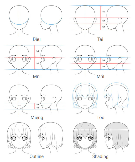 Các bước vẽ đầu và khuôn mặt nhân vật nữ anime