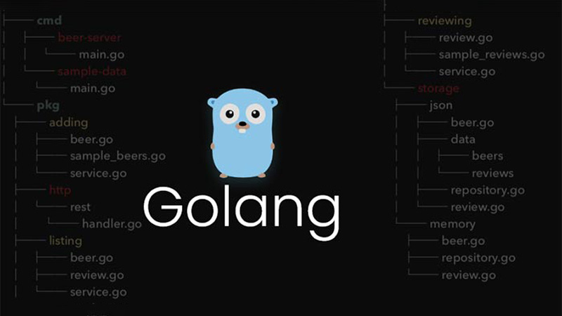 Khái niệm và cách sử dụng cấu trúc trong Golang