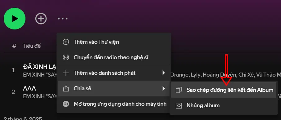 Hướng dẫn tải bài hát Spotify bằng SpotMate - Bước 5