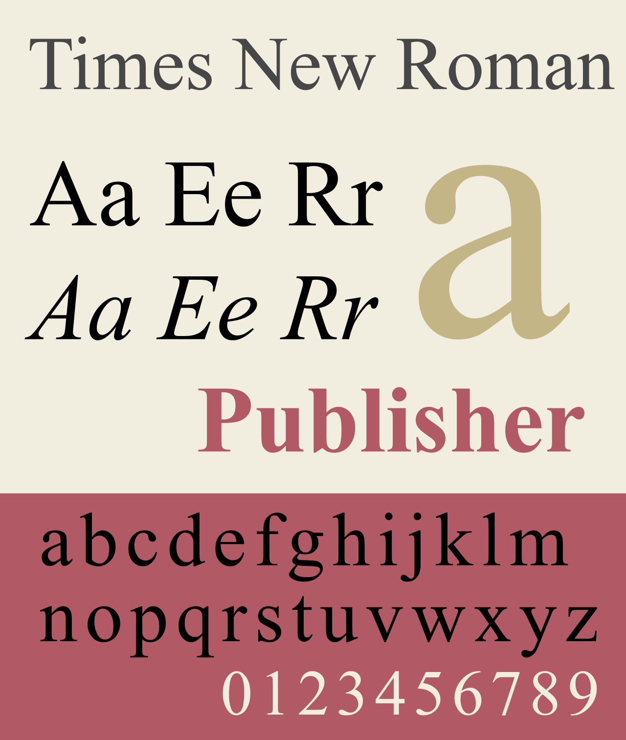 Font Times New Roman nổi tiếng với "chân" và "cánh" - Ảnh: Internet.
