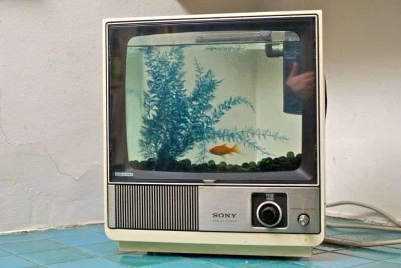 5 ý tưởng tận dụng màn hình máy tính cũ thay vì vứt bỏ - Ảnh 3