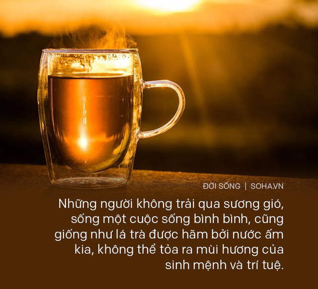 Cố tình pha trà bằng nước ấm, hòa thượng già chỉ cho chàng trai 1 đạo lý, giúp rũ bỏ hết muộn phiền, bất mãn với cuộc sống Cố tình pha trà bằng nước ấm, hòa thượng già chỉ cho chàng trai 1 đạo lý, giúp rũ bỏ hết muộn phiền, bất mãn với cuộc sống