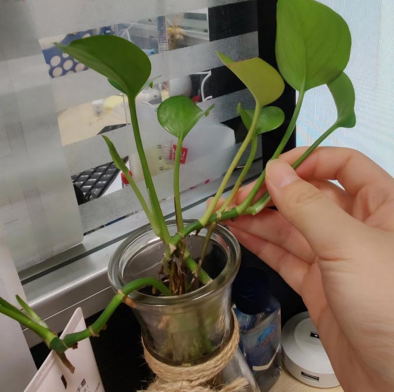 Nể người nào nghĩ ra thứ đồ này: Tưởng "vô tri" nhưng có 10 công dụng "cực hack" - Ảnh 5