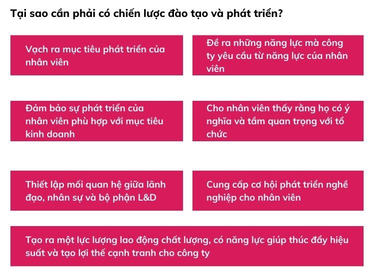 Vai trò của chiến lược đào tạo và phát triển (L&D) là gì?
