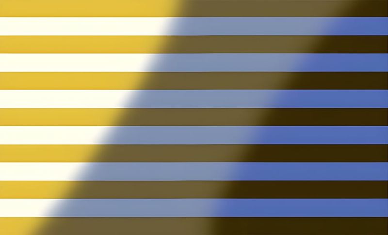 Vai trò của bộ não và sự chiếu sáng